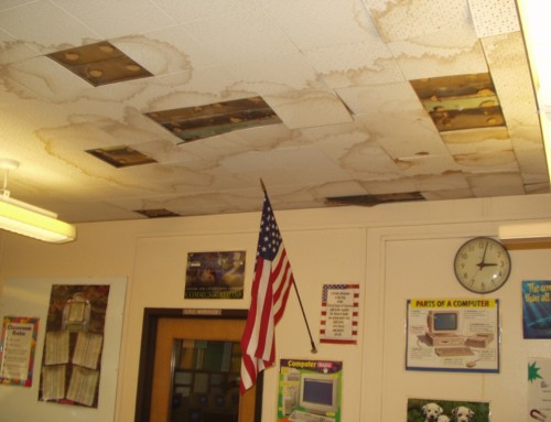 Broward County School Classrooms Plagued by Mold Problems