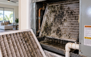 mold in an air handler