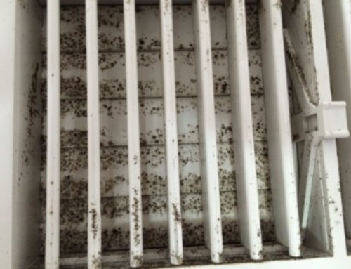 Is Your Air Conditioning System Causing Mold in your Florida Home?