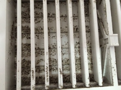 Mold forming on air conditioning vent